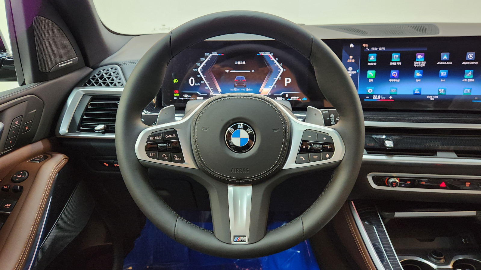 BMW X5 4세대 xDrive 30d